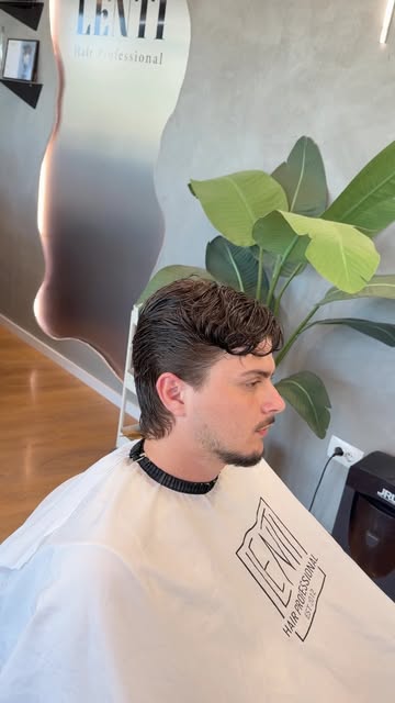 Mullet modern me tekstura